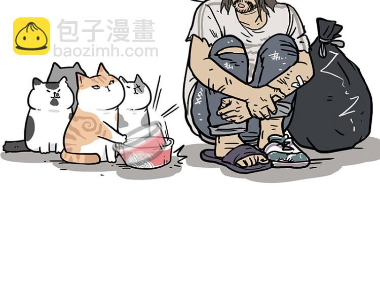 🍘吾皇巴扎黑 第290话 凶恶猫猫组织 第30页