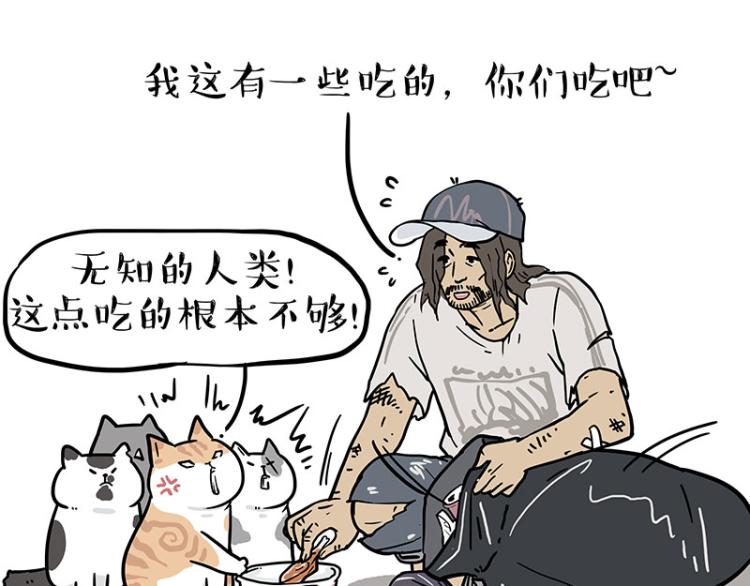 🍘吾皇巴扎黑 第290话 凶恶猫猫组织 第31页