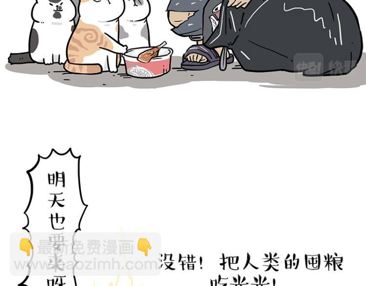 🍘吾皇巴扎黑 第290话 凶恶猫猫组织 第34页