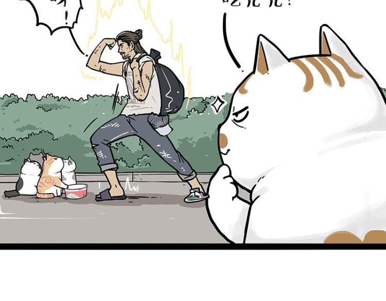 🍘吾皇巴扎黑 第290话 凶恶猫猫组织 第35页