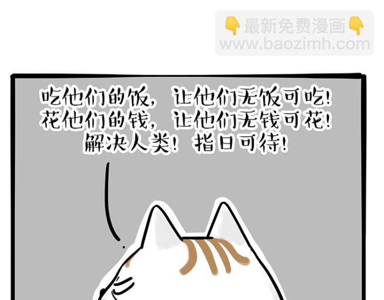 🍘吾皇巴扎黑 第290话 凶恶猫猫组织 第36页