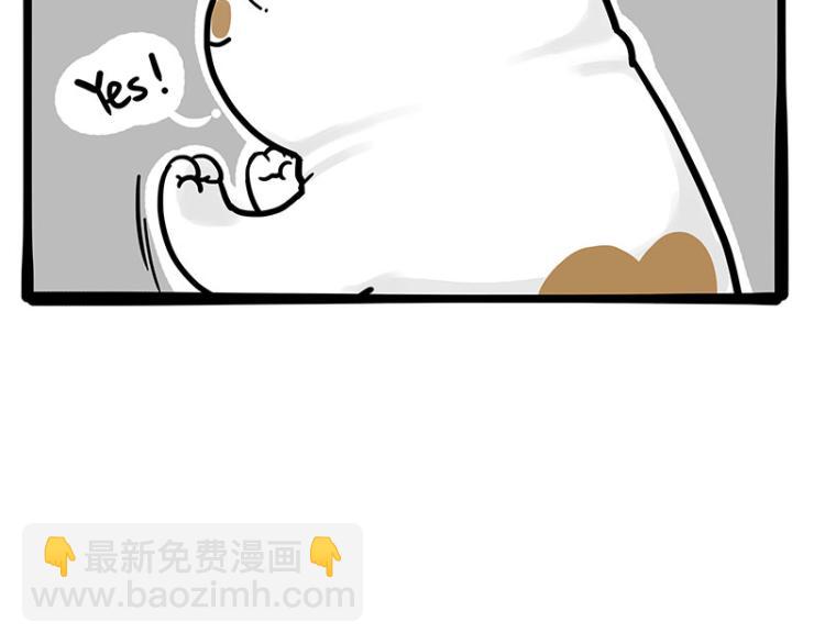 🍘吾皇巴扎黑 第290话 凶恶猫猫组织 第37页