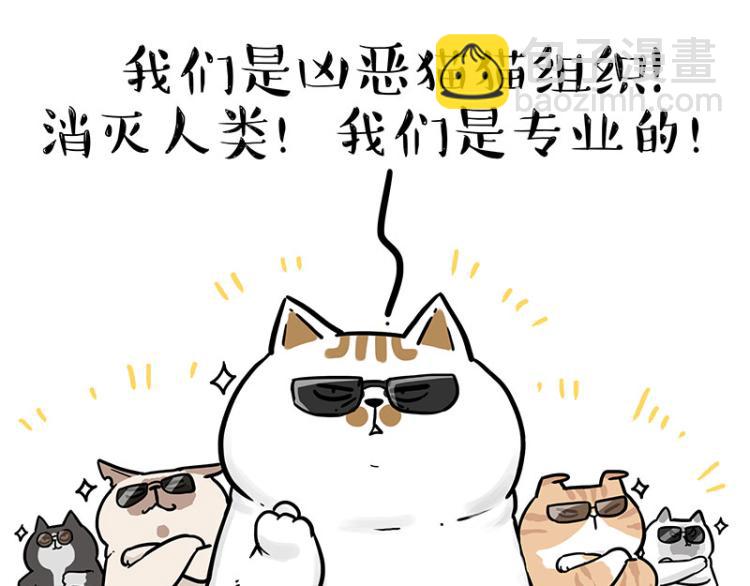 🍘吾皇巴扎黑 第290话 凶恶猫猫组织 第38页