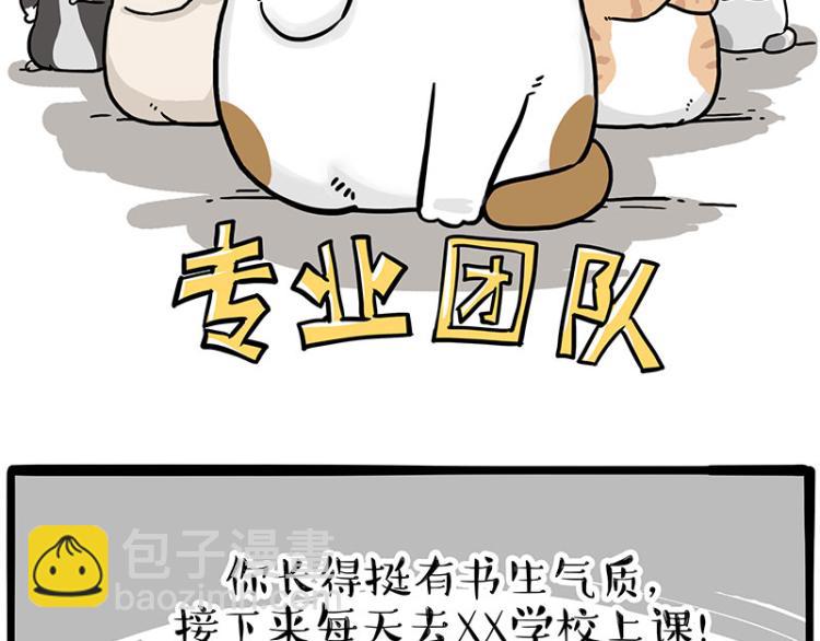 🍘吾皇巴扎黑 第290话 凶恶猫猫组织 第39页