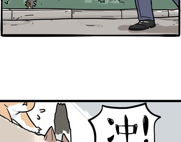 🍘吾皇巴扎黑 第290话 凶恶猫猫组织 第4页