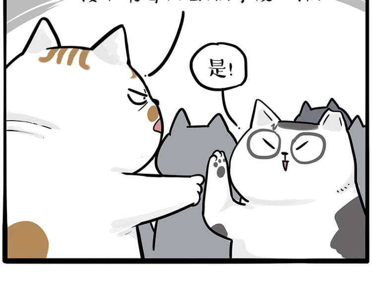 🍘吾皇巴扎黑 第290话 凶恶猫猫组织 第40页