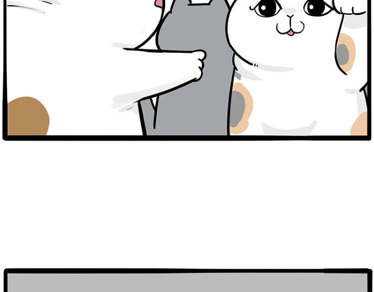 🍘吾皇巴扎黑 第290话 凶恶猫猫组织 第42页