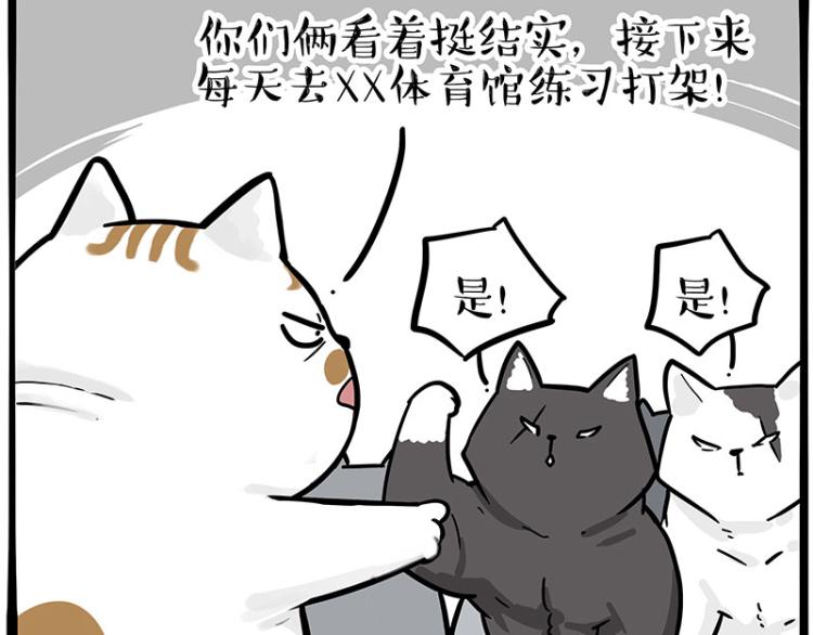 🍘吾皇巴扎黑 第290话 凶恶猫猫组织 第43页