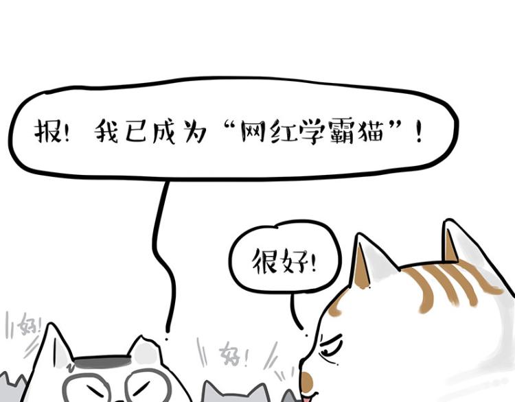 🍘吾皇巴扎黑 第290话 凶恶猫猫组织 第45页