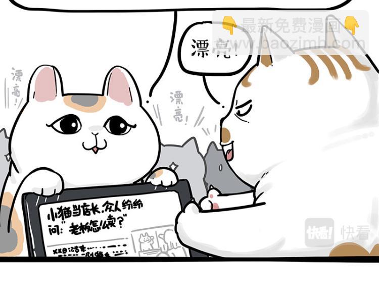 🍘吾皇巴扎黑 第290话 凶恶猫猫组织 第47页