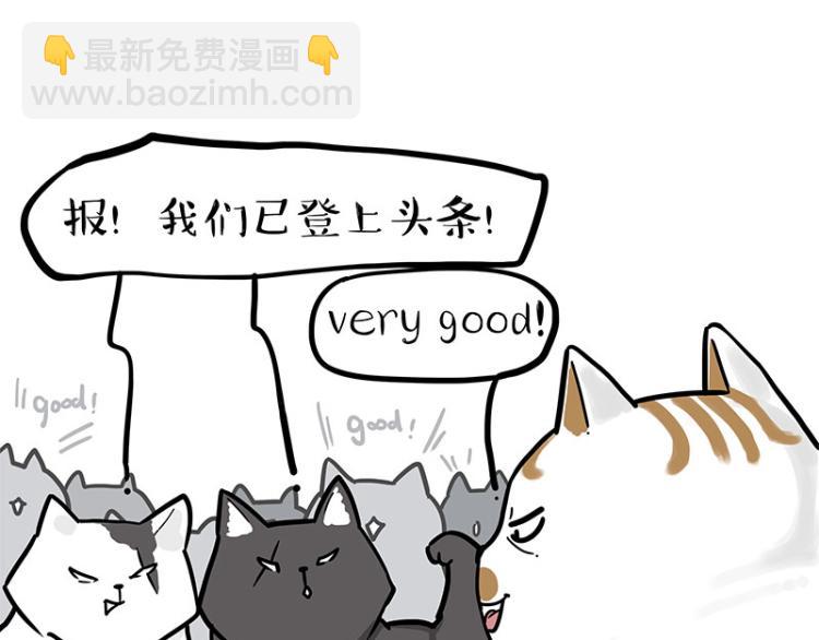 🍘吾皇巴扎黑 第290话 凶恶猫猫组织 第49页