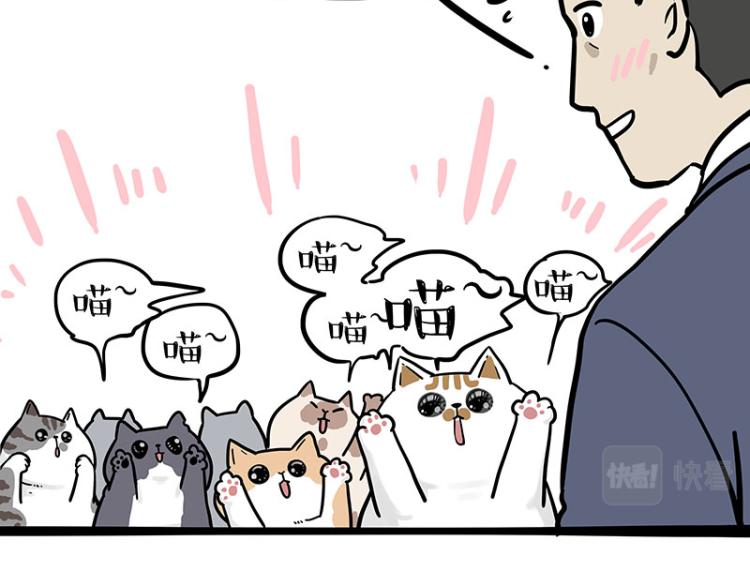 🍘吾皇巴扎黑 第290话 凶恶猫猫组织 第7页