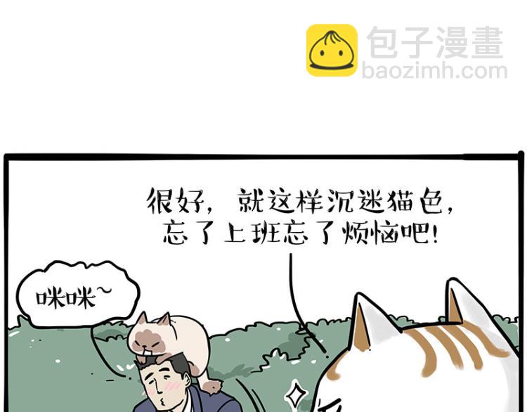 🍘吾皇巴扎黑 第290话 凶恶猫猫组织 第8页