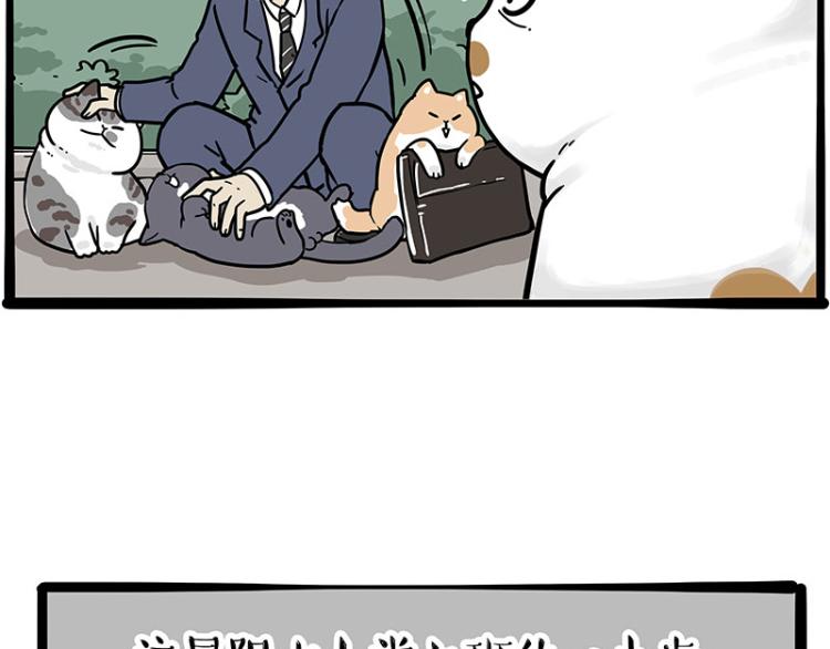 🍘吾皇巴扎黑 第290话 凶恶猫猫组织 第9页