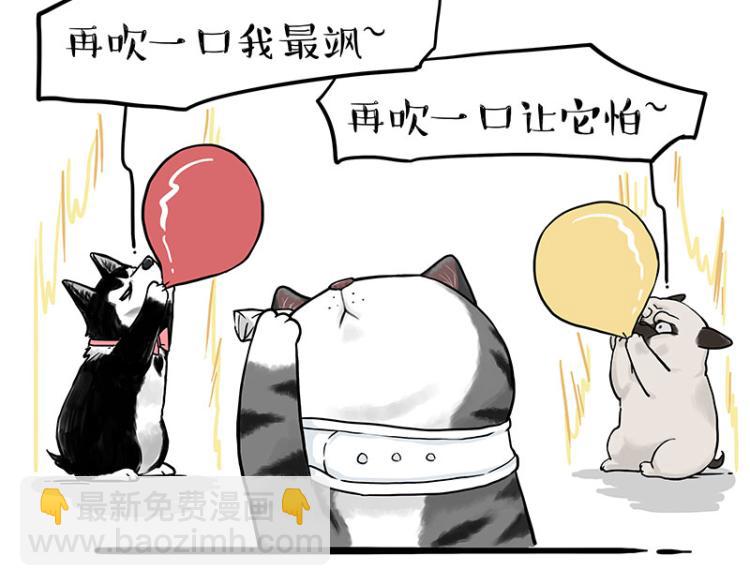 🍘吾皇巴扎黑 第292话 吐槽拯救世界 第12页