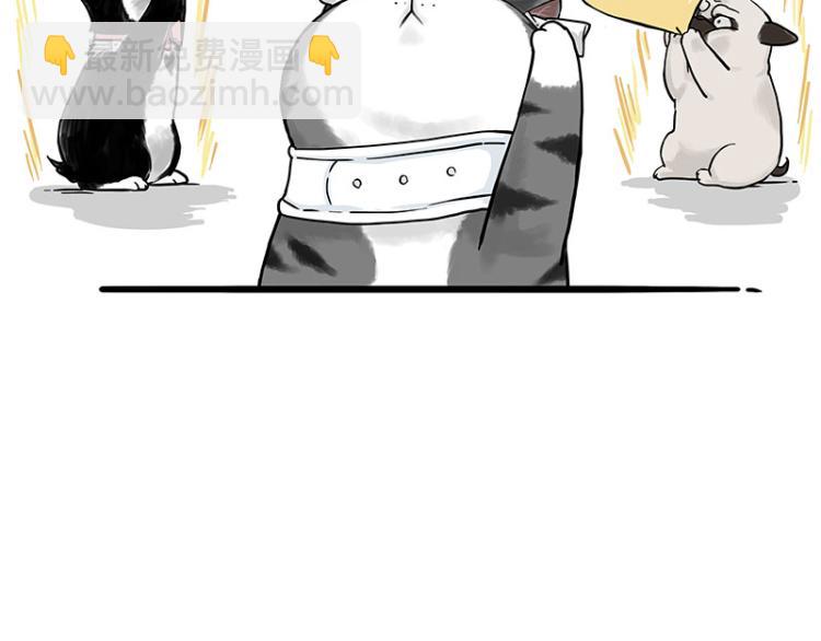 🍘吾皇巴扎黑 第292话 吐槽拯救世界 第14页