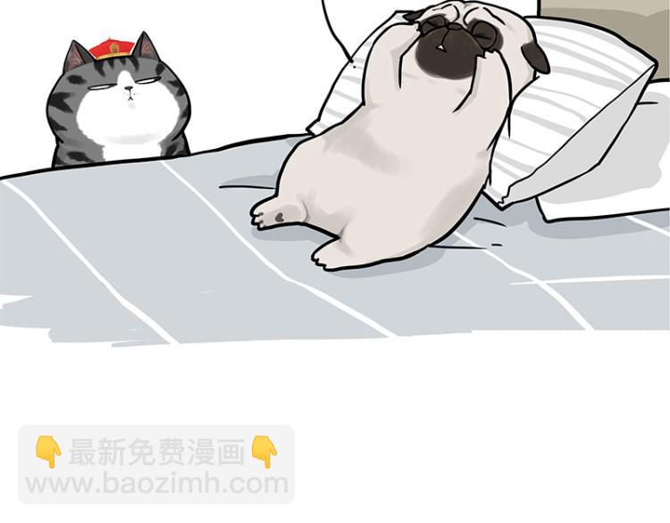 🍘吾皇巴扎黑 第292话 吐槽拯救世界 第35页