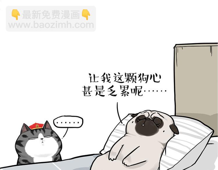 🍘吾皇巴扎黑 第292话 吐槽拯救世界 第36页