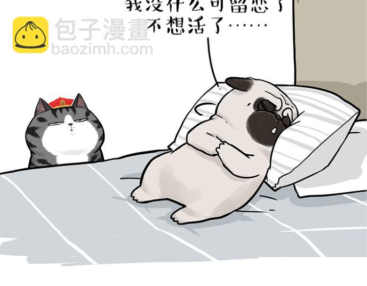 🍘吾皇巴扎黑 第292话 吐槽拯救世界 第43页