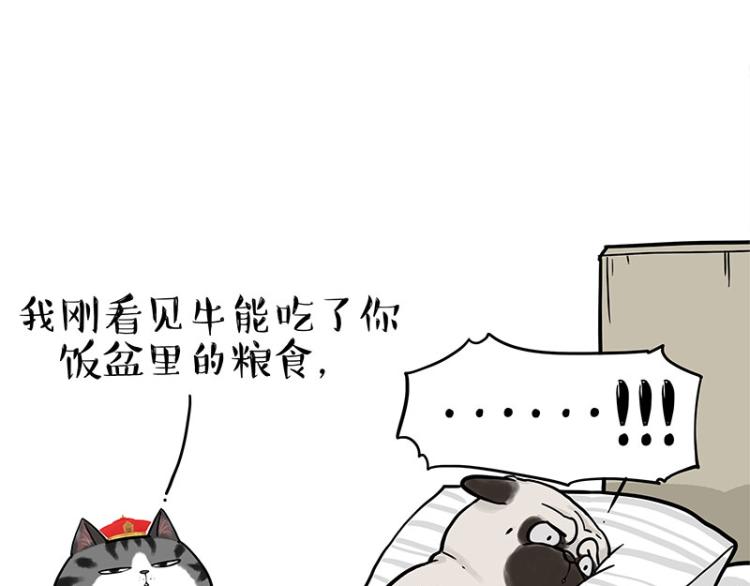 🍘吾皇巴扎黑 第292话 吐槽拯救世界 第44页