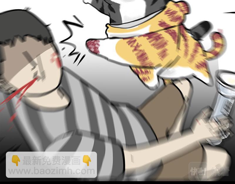 🍘吾皇巴扎黑 第296话 披着虎皮的猫 第11页
