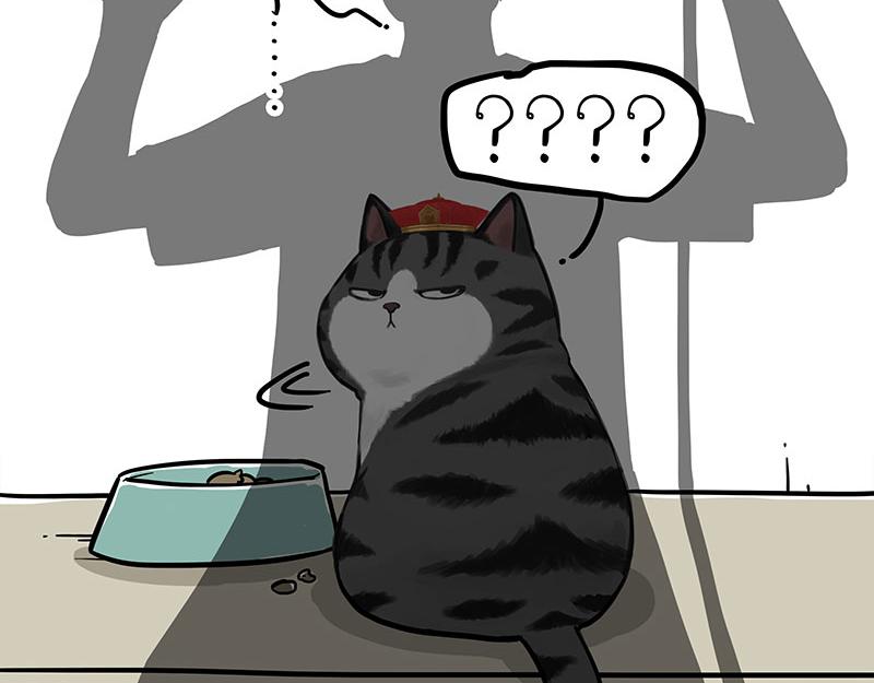🍘吾皇巴扎黑 第296话 披着虎皮的猫 第17页