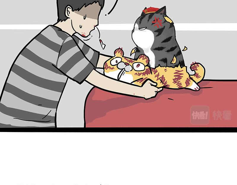 🍘吾皇巴扎黑 第296话 披着虎皮的猫 第32页
