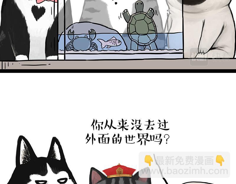 🍘吾皇巴扎黑 第298话 龟与狗与世界 第16页