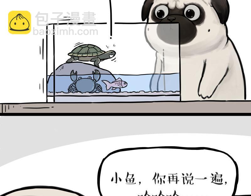 🍘吾皇巴扎黑 第298话 龟与狗与世界 第24页