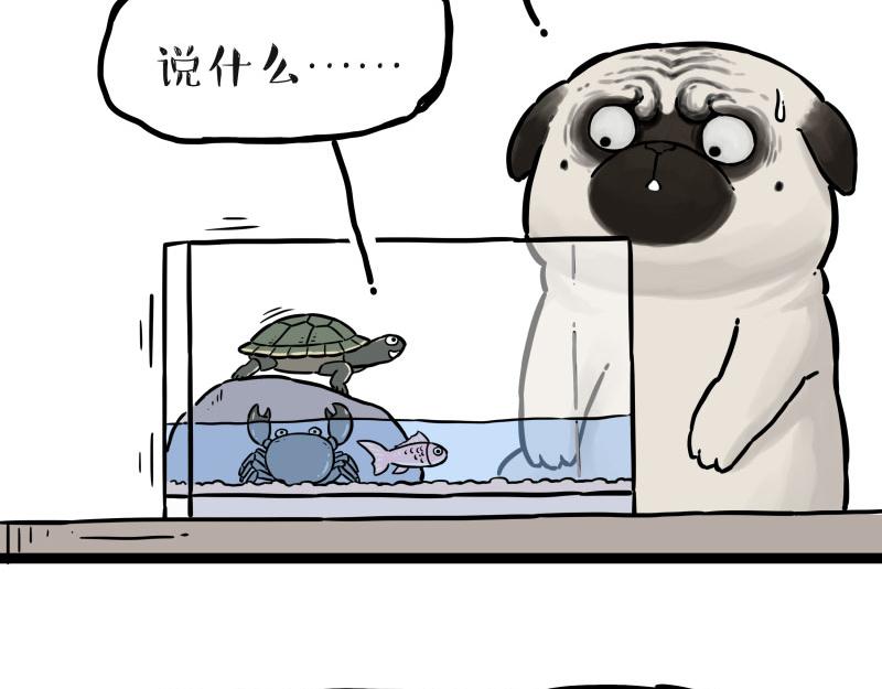 🍘吾皇巴扎黑 第298话 龟与狗与世界 第29页