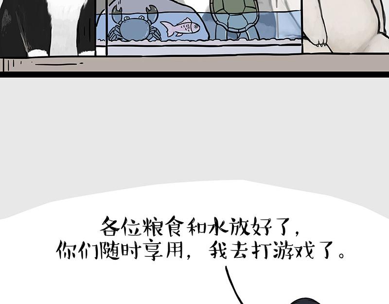 🍘吾皇巴扎黑 第298话 龟与狗与世界 第3页