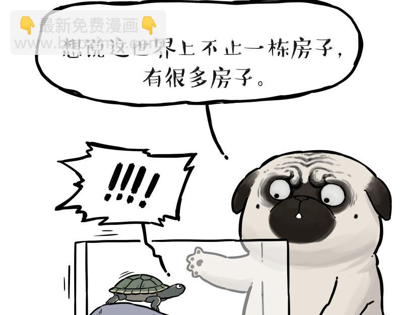 🍘吾皇巴扎黑 第298话 龟与狗与世界 第30页