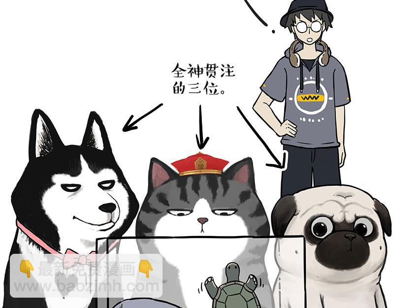 🍘吾皇巴扎黑 第298话 龟与狗与世界 第4页