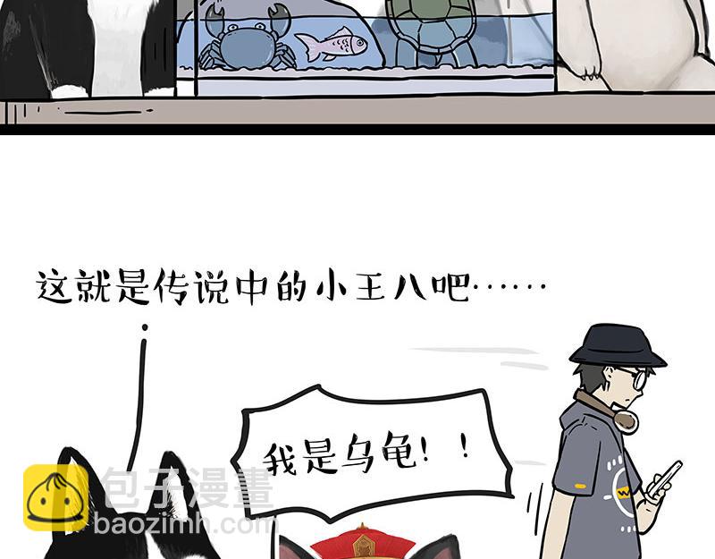 🍘吾皇巴扎黑 第298话 龟与狗与世界 第5页