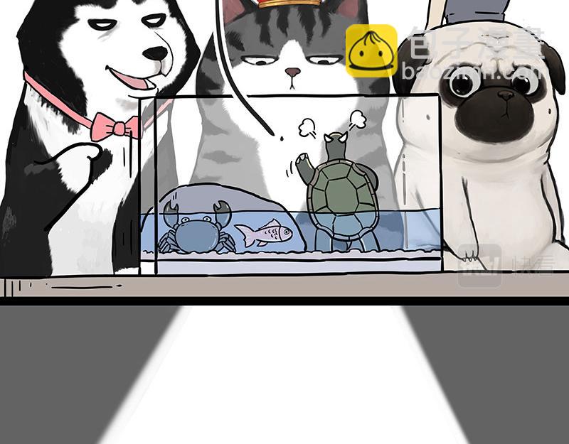 🍘吾皇巴扎黑 第298话 龟与狗与世界 第6页