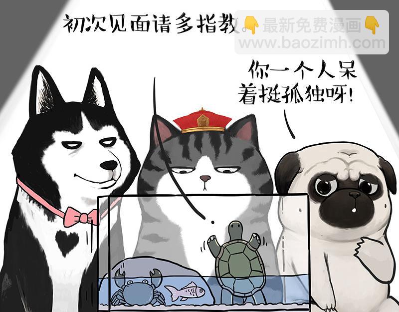 🍘吾皇巴扎黑 第298话 龟与狗与世界 第7页