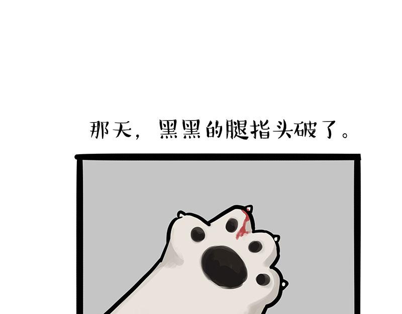 🍘吾皇巴扎黑 第300话 狗也有文化 第20页