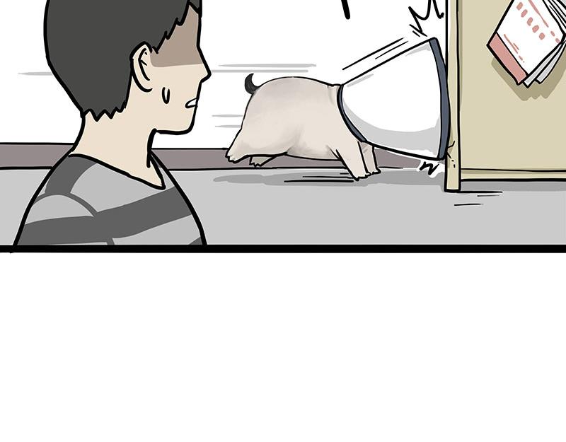 🍘吾皇巴扎黑 第300话 狗也有文化 第29页