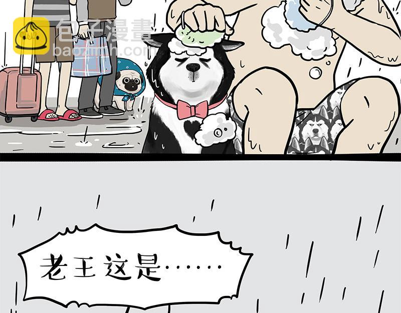 🍘吾皇巴扎黑 第306话 不辛苦，命苦 第31页