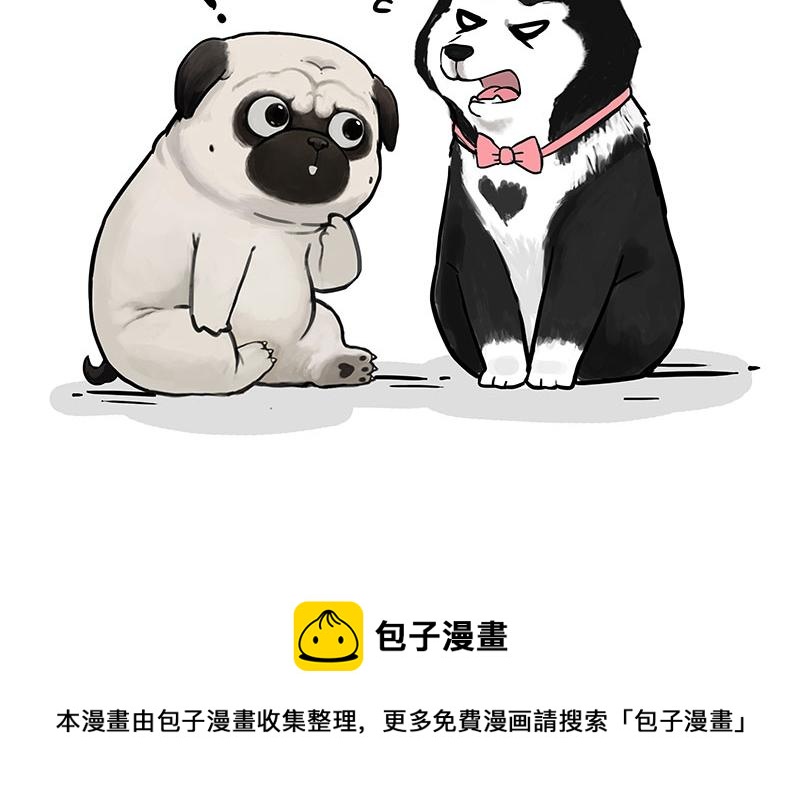 🍘吾皇巴扎黑 第306话 不辛苦，命苦 第45页