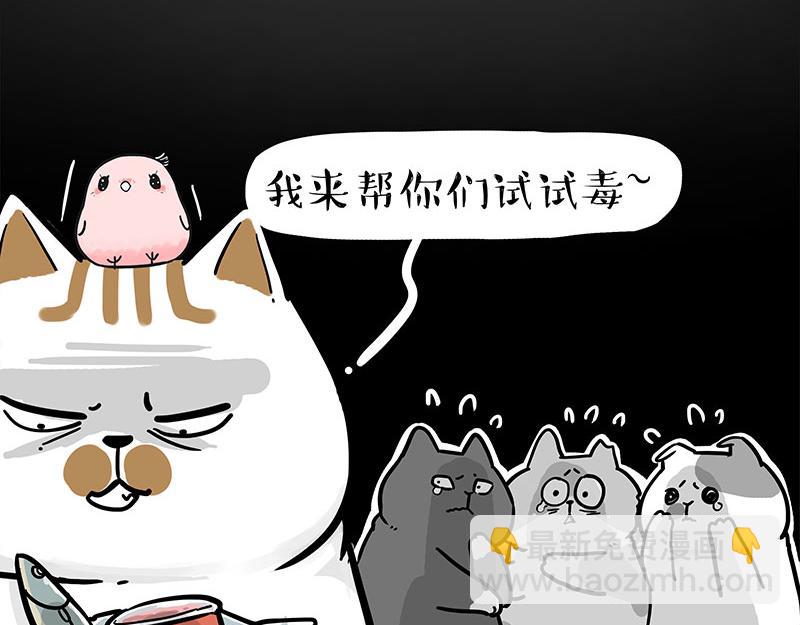 🍘吾皇巴扎黑 第308话 恶霸最大！ 第13页