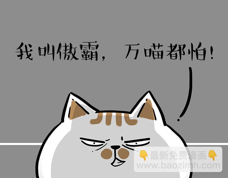 🍘吾皇巴扎黑 第308话 恶霸最大！ 第17页