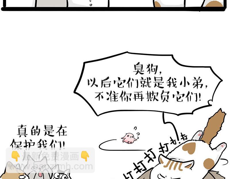 🍘吾皇巴扎黑 第308话 恶霸最大！ 第21页