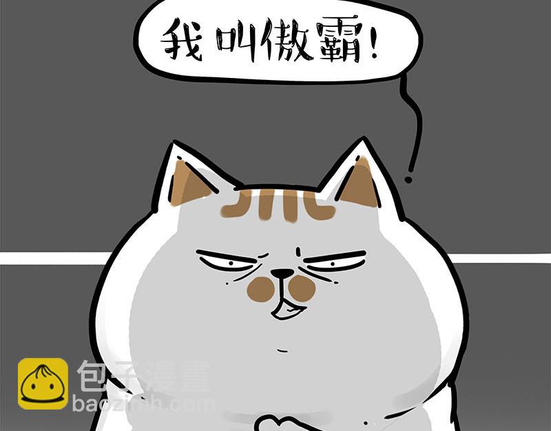 🍘吾皇巴扎黑 第308话 恶霸最大！ 第23页