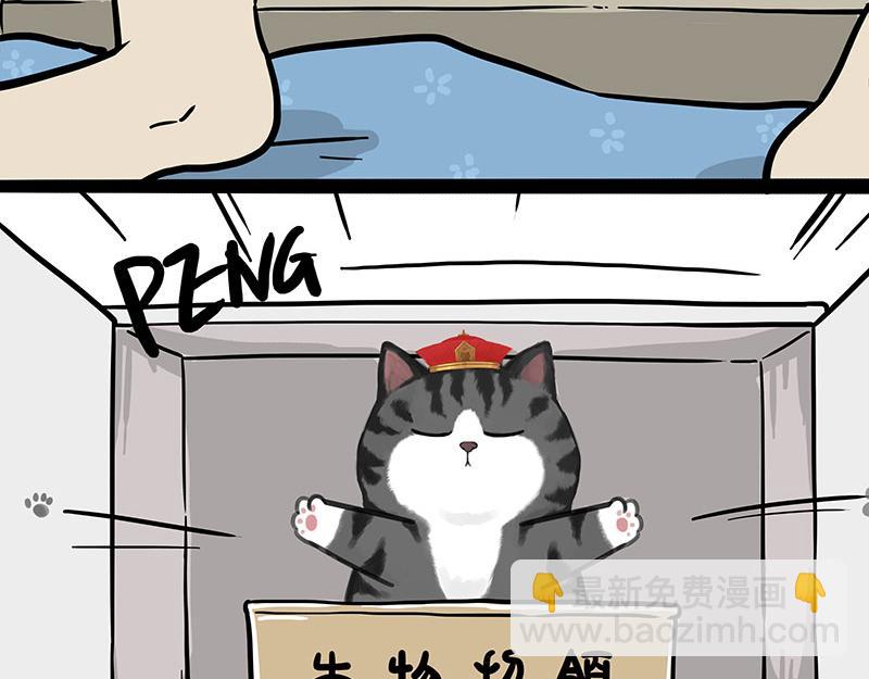 🍘吾皇巴扎黑 第308话 恶霸最大！ 第39页