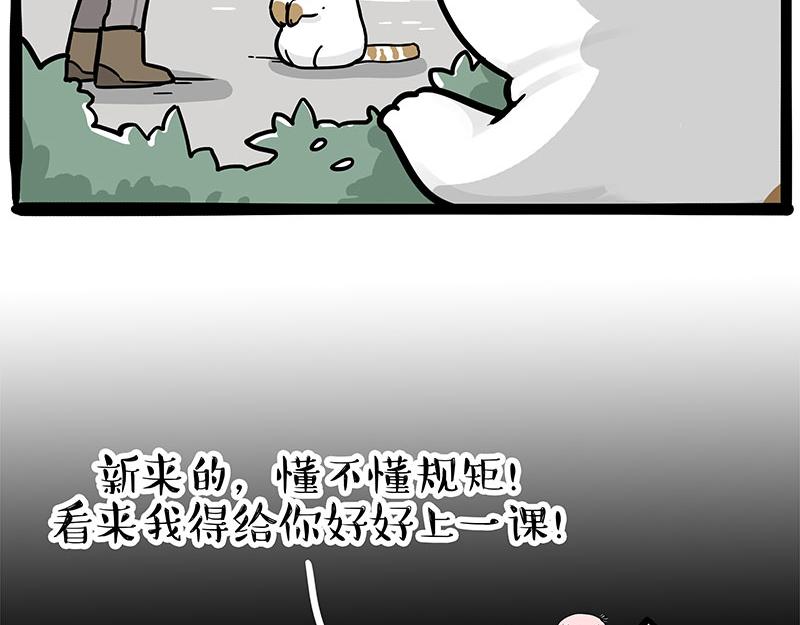 🍘吾皇巴扎黑 第308话 恶霸最大！ 第4页