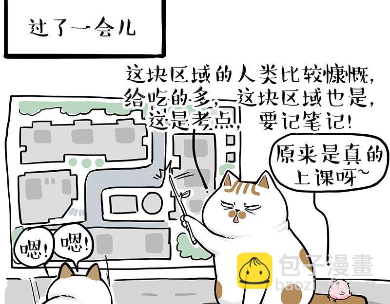 🍘吾皇巴扎黑 第308话 恶霸最大！ 第6页
