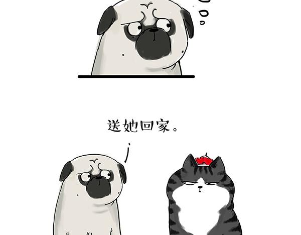 🍘吾皇巴扎黑 第32话 七夕你为什么还单身？ 第11页
