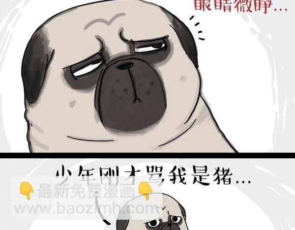 🍘吾皇巴扎黑 第32话 七夕你为什么还单身？ 第21页