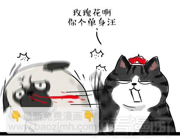 🍘吾皇巴扎黑 第32话 七夕你为什么还单身？ 第3页